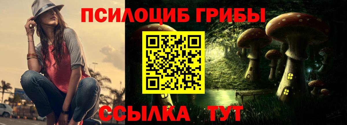 Псилоцибиновые грибы Psilocybine cubensis Семёнов